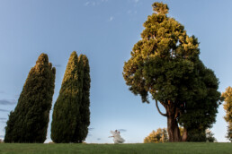 Matrimonio, sposi, marito e moglie, bomboniere, cerimonia, ricevimento, abito, confettata, anelli, promesse, bouquet, taglio torta, brindisi, damigelle, invitati, bacio, ballo, festa nuziale, fotografo, wedding